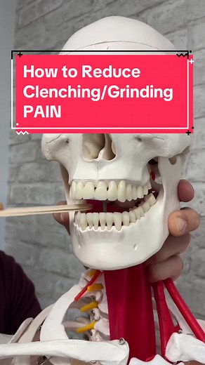 Freeway Space & Jaw Pain: Exercises to Stop Clenching