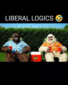 Liberal logic, 🤣🤣🤣. #fblifestyle | Jungle Anchor