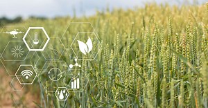 Méthanisation agricole : quels sont ses avantages et inconvénients ?