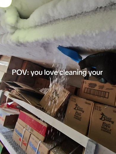 Cleaning Your Truck POV: Satisfying ASMR Worklife Cleaning Tips