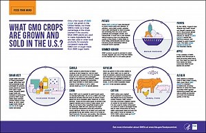 How does genetically modified food affect animals? [2025] | QAQooking.wiki