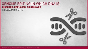 Genome editing with engineered nucleases. http://oak.ctx.ly/r/3md4j | Sample Prep for Science