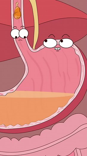 #funny #animation #knowledge #organs #fyp