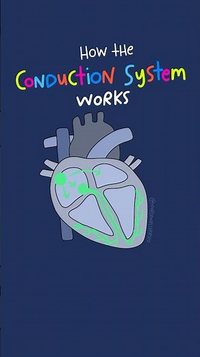 How Cardiac Conduction Works 🫀#nursingschool