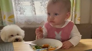 Little girl protects her meal with sass when dog tries to join in