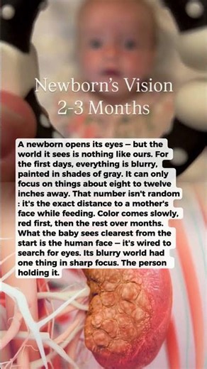 What Happens the First Time a Newborn Opens Its Eyes