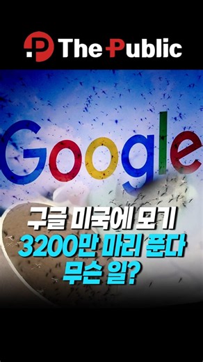 Google's massive experiment... plans to release 32 million mosquitoes