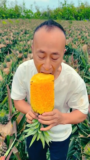 Eating pineapple juice - Pineapple farming life #viral #agriculture #shorts #life #farming