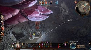 Baldur's Gate 3 - Help Omeluum Investigate the Parasite Walkthrough