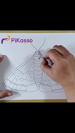How to Shade a Moth Drawing Easy in Less Than One Minutes
