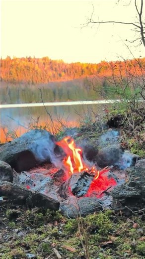 40 Seconds of Fire Magic 🔥 Real Lakefront Campfire Time-Lapse - With Steam Ending