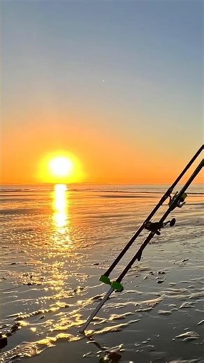 Sea Fishing Uk #fishing #shorts #fyp