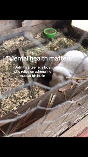 Understanding Mental Health in Teen Boys