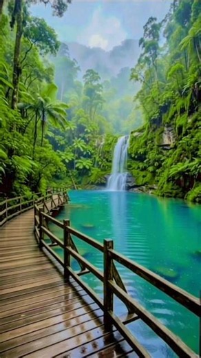 Hidden Jungle Waterfall 🌿 4K Nature ##Waterfall #RelaxingNature #cozynatureescape #naturevibes