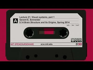 21. Visual systems, part 1