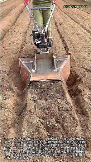 歩行型管理機による自動畝立て・整地作業 #worker #process #agriculture #farming #machinery