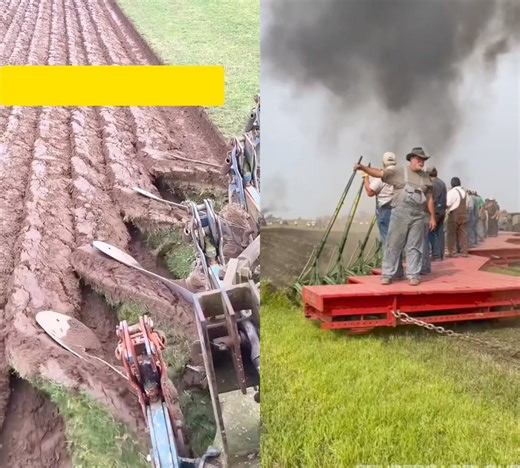 226K views · 2.3K reactions | Pertanian Modern | IDNfarmers | Facebook