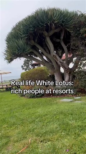 Real life White Lotus: Rich people at resorts | Tori Piskin