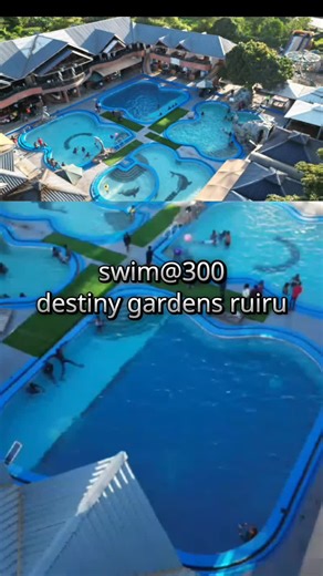 TikTok - Make Your Day