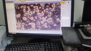 3T3-L1细胞诱导成脂记录（南华大学衡阳医学院）