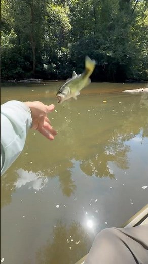 Fish Does EPIC Backflip!