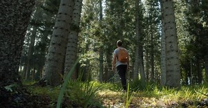 Video by Peter Fowler on Pexels