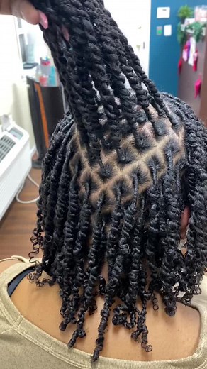 How to Create Starter Locs with Diamond Part Two Strand Twists