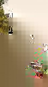 8.7M views · 89K reactions | Try not to laugh with these funny animals 來 | Now I've Seen Everything | Facebook