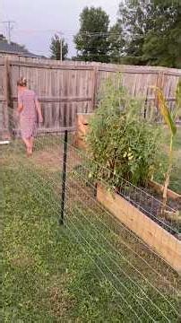 Simple Garden Fence Install | “Demon” Proof
