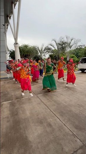 Chhattisgarhi | Folk l Dance #cgsong #cgshorts #cgviral #cg #dance #airport #traditional #song
