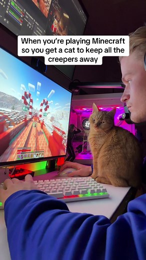 Get a Cat to Keep Creepers Away in Minecraft