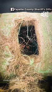 Thirteen undocumented migrants were found hidden inside hollowed-out hay bales during a traffic stop near Flatonia, leading to two arrests on human smuggling charges. | ABC13 Houston