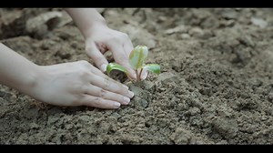 Project One Tree, a movement to restore our planet’s green cover and ensure a sustainable future for all. Together, let’s fight climate change and sow the seed for a healthier world. Join News18 Network and let each one of us plant one and remember to nurture nature. #ProjectOneTree #NurtureNature | Firstpost