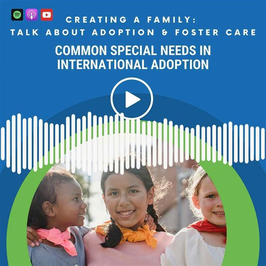 Considering international adoption? Learn which special needs might be the right fit for your family in this interview from CreatingaFamily.org with Dr. Dana Johnson, founder of the International Adoption Clinic. 🎧 https://ow.ly/MpaR50WjaOS #adoption #fostercare #kinshipcare | Creating a Family