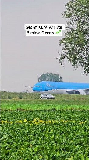Incredible View: KLM Boeing 777-300ER Skimming The Fields At Amsterdam Schiphol 🔥