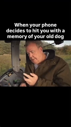 8.2K views · 12K reactions | “You have memories from 3 years ago”...