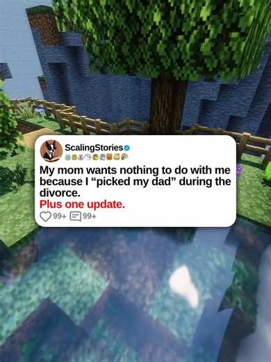 u/tame_armadilla5607 My mom wants nothing to do with me because I “picked my dad” during the divorce. Plus one update. 0:00 Original Post 12:34 Update (2 Weeks Later) #scalingstories #reddit #redditstories #minecraftparkour #redditreadings