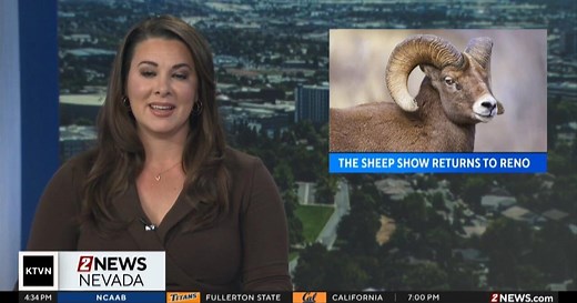 Sheep Show 2026 tickets on sale