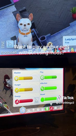 Put in the cheat “pets.toggle_selectable_pets” #fyp #sims #thesims #sims4 #thesims4
