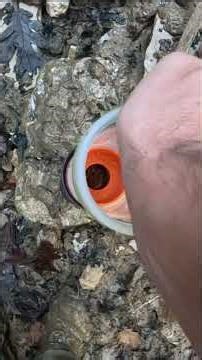 Filtering drinking water off-grid with a GRAYL.#grayl #offgrid #outdoors #adventuretravel #extreme