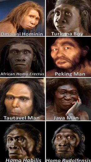 The Faces That Built Our World 🌍 Before we built cities, mastered the internet, or looked at the stars, we looked like this. These aren't just faces; they are the survivors, the hunters, and the pioneers of the human lineage. From the rugged Dmanisi Hominin to the wandering Java Man, each of these ancestors carried the torch of survival so we could be here today. It’s wild to think that their DNA is still whispering inside us. 🧬 Which one do you think looks most like "modern" man? Let’s discus