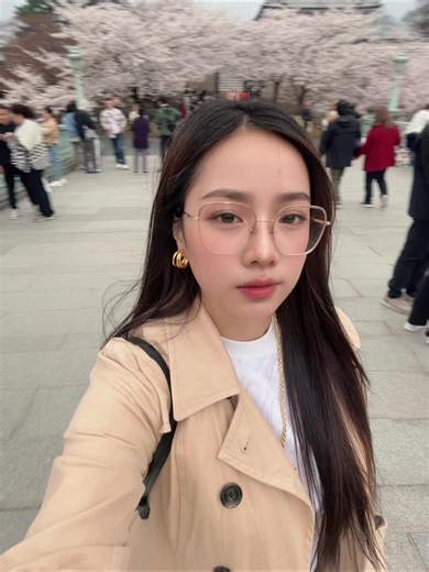 Explore Kanazawa's Beautiful Cherry Blossoms