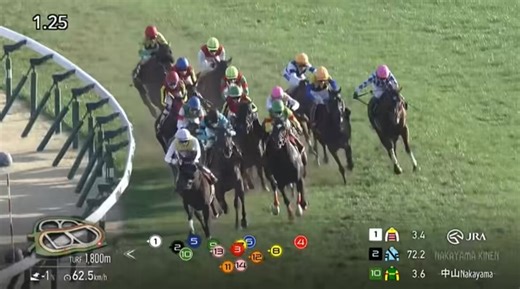 「皇帝」シンボリルドルフ「帝王」トウカイテイオー日本競馬の歴史とロマンが詰まったこの血を継ぐ…レーベンスティールこの血統を残すにはお前がG1を勝つしかない！！この馬を語る上で常に巻き起こる議論。・非根幹距離向き・根幹距離だと足りない断言します。これだけで片づけていい馬でありません。レーベンスティールの本当の強さと魅力は？次なる大舞台、大阪杯で勝ち負けする可能性はあるのか？王道ディスタンスで見せるパフォーマンスとは？現在、超大作を執筆中。♡を押して待機お願いします。