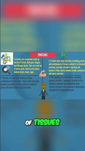 Proteins: Functions, Sources, and Importance Explained #shorts