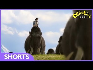 CBeebies: Andy's Prehistoric Adventures - Woolly Mammoth Tusk