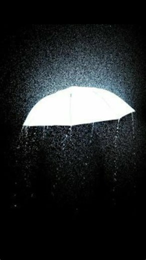 I am single single Tik Tok my India