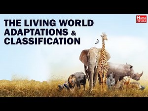 The Living World Adaptations and Classification | Class 7 | Science | English Medium | Home Revise
