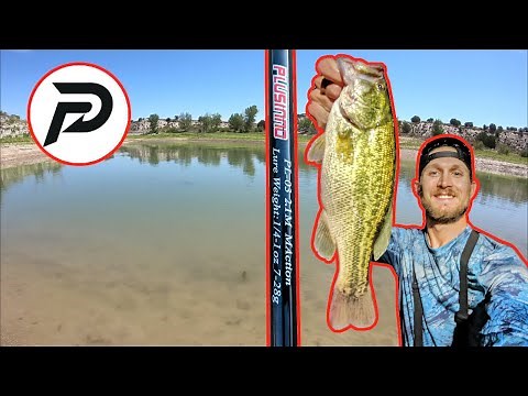 PLUSINNO Telescopic Rod Reel Combo TEST and REVIEW!