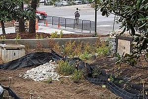 Features and Stages of Environmental Management Systems (EMS) - Paperblog