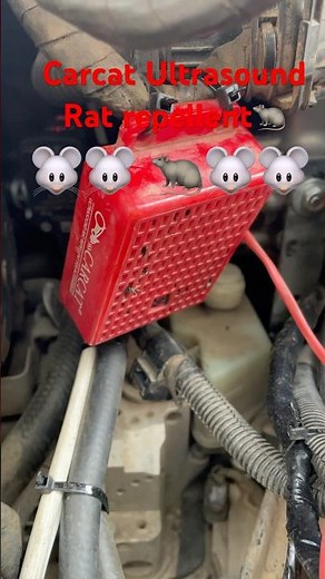 CARCAT 4th Gen Ultrasonic Rat Repellent for Cars: Protect Your Engine from Rodents 24/7!